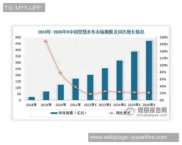 厄德高在国际足坛的崛起之路与未来发展潜力分析